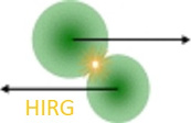 Heavy Ion Reaction Group